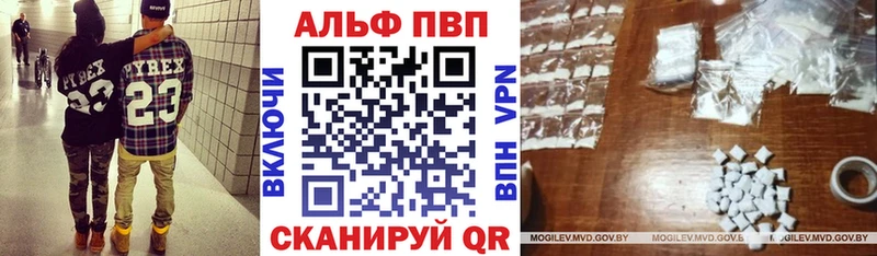 Купить закладки  Калининград  Alpha PVP Crystall 