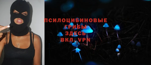 прущий лед Краснослободск