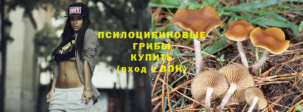 прущий лед Краснослободск