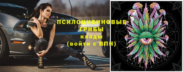 амф Краснотурьинск