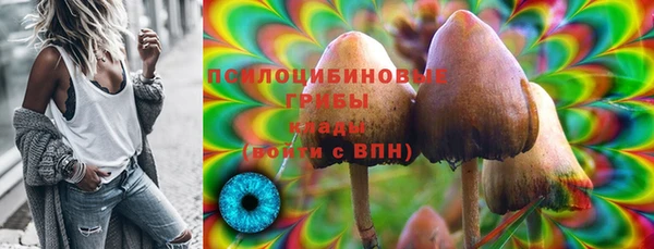 прущий лед Краснослободск