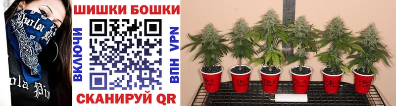 Купить где  Калининград  Канабис индика 